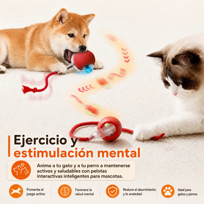 Pelota automática que entretiene a tu mascota