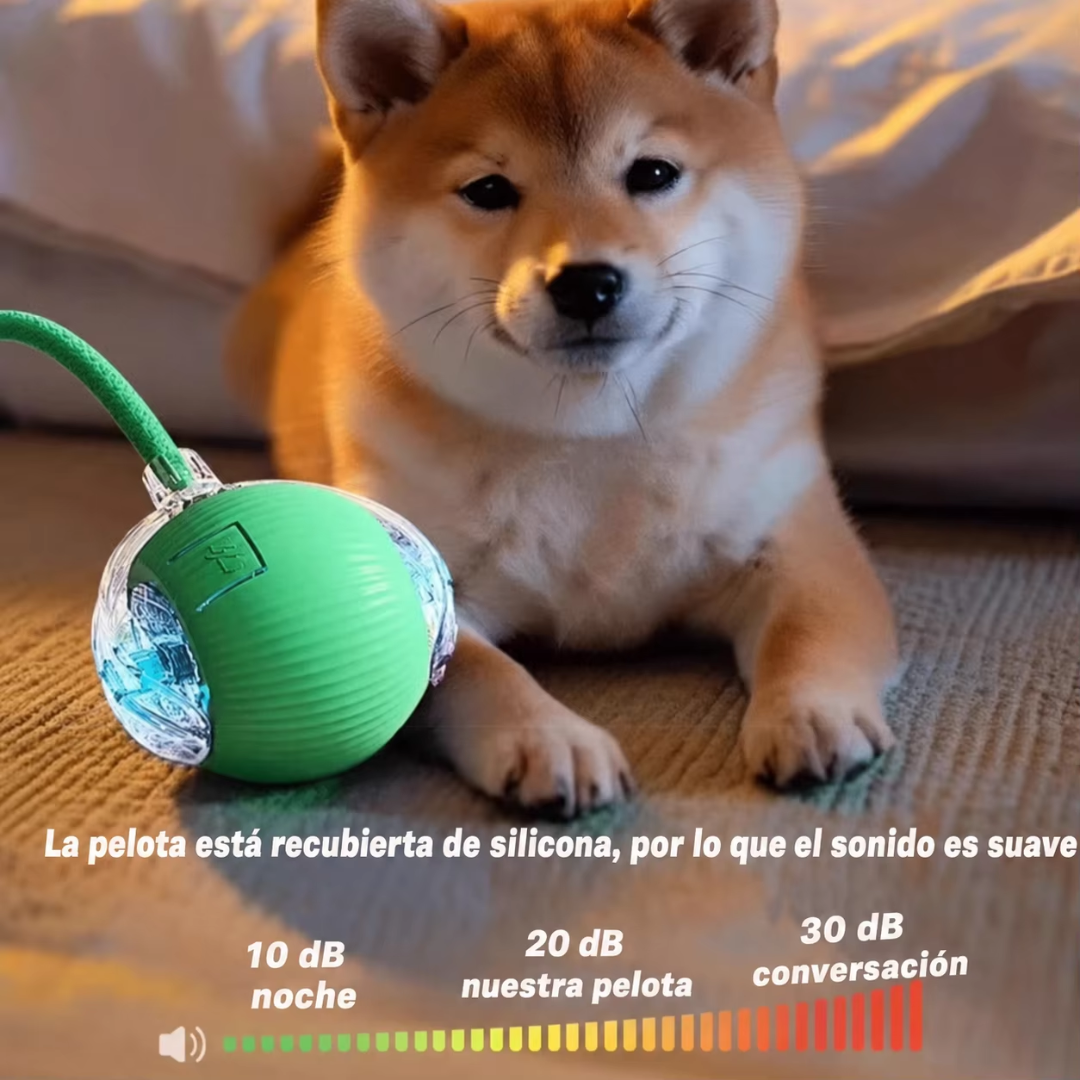 Pelota automática que entretiene a tu mascota