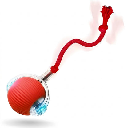 Pelota automática que entretiene a tu mascota