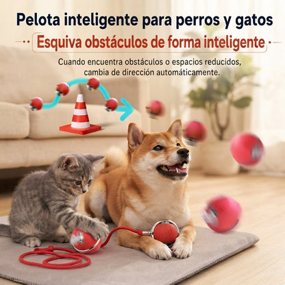Pelota automática que entretiene a tu mascota