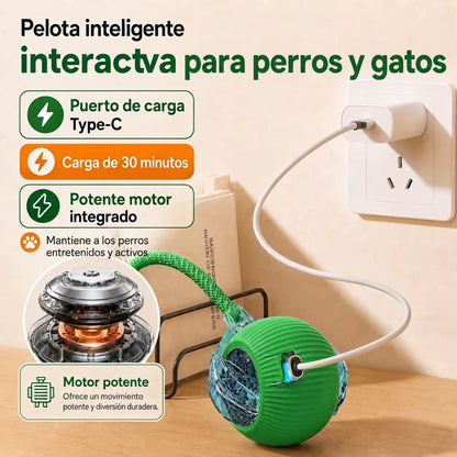 Pelota automática que entretiene a tu mascota