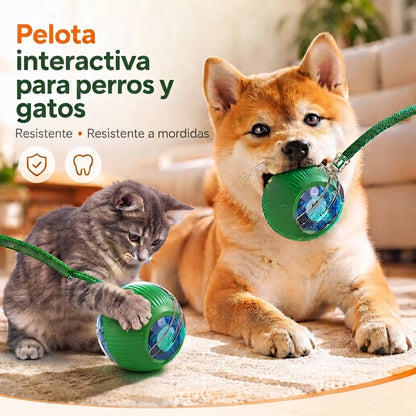 Pelota automática que entretiene a tu mascota